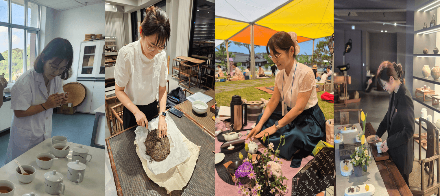 한보라 대표의 차 연구와 다회 활동을 담은 네 장의 사진 콜라주